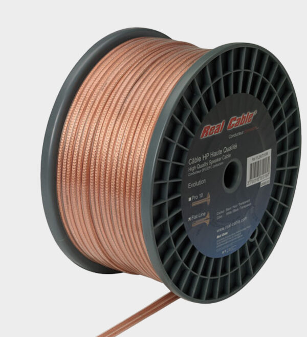 Câble haut-parleur Haute Qualité Real Cable Flat Line Transparent