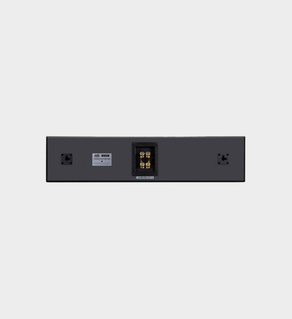 Enceinte murale 2 x 4' PSB PWM1 – Image 4