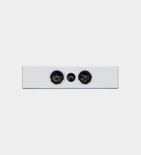Enceinte murale 2 x 4' PSB PWM1 – Image 5