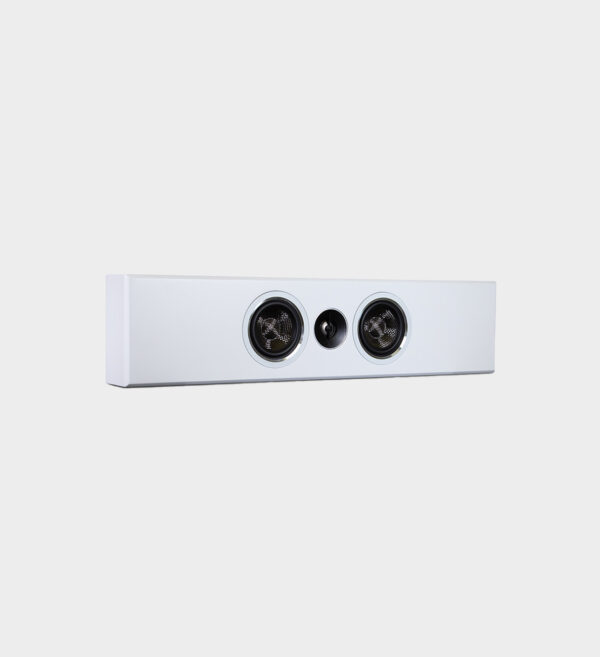 Enceinte murale 2 x 4' PSB PWM1 – Image 7