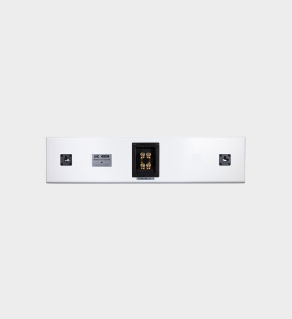 Enceinte murale 2 x 4' PSB PWM1 – Image 8