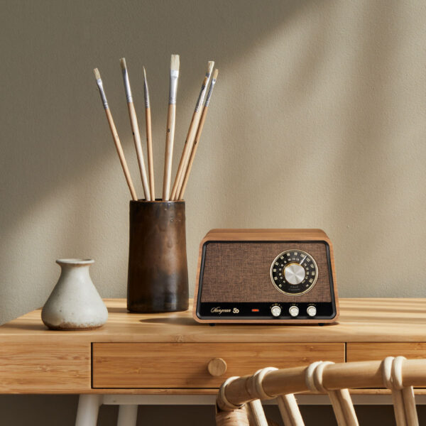 SANGEAN - WR-101 / Radio AM/FM/Bluetooth/AUX / Anniversary – Image 7