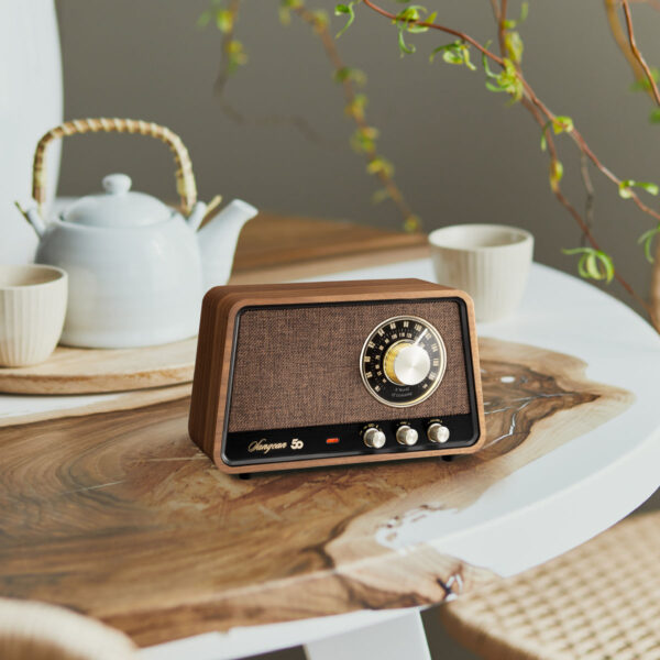 SANGEAN - WR-101 / Radio AM/FM/Bluetooth/AUX / Anniversary – Image 8