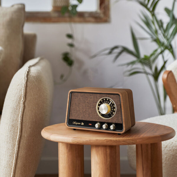 SANGEAN - WR-101 / Radio AM/FM/Bluetooth/AUX / Anniversary – Image 9